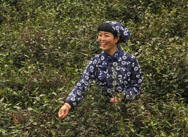 222间房主播跳舞 暗夜探戈